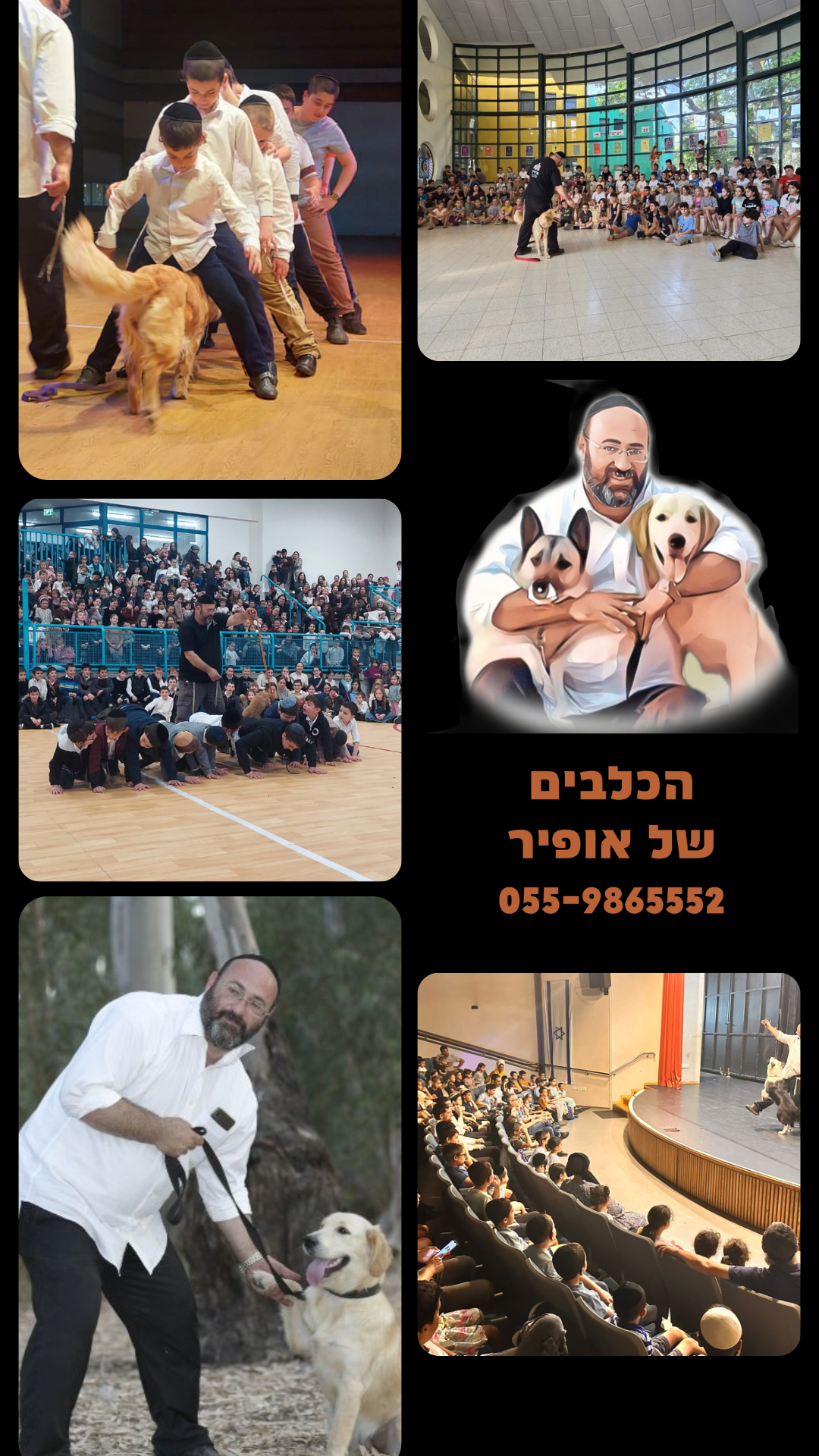 הכלבים של אופיר