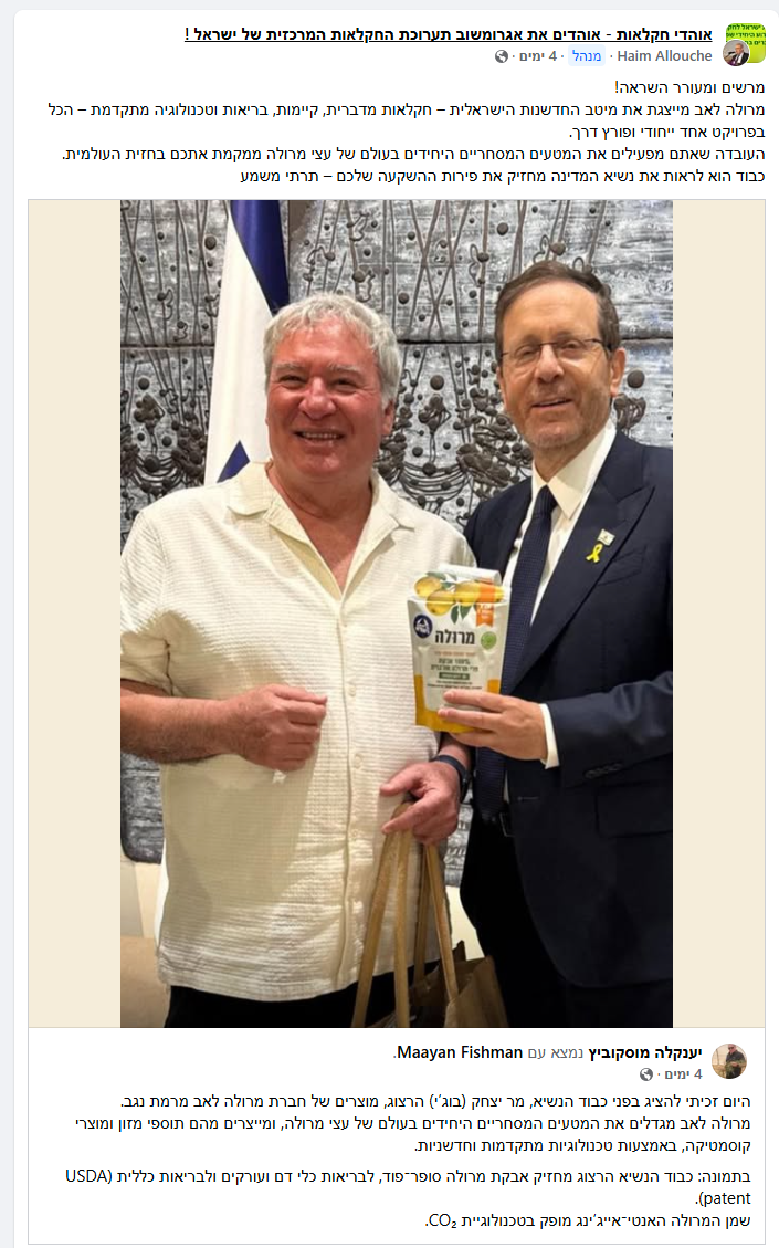 מרולה